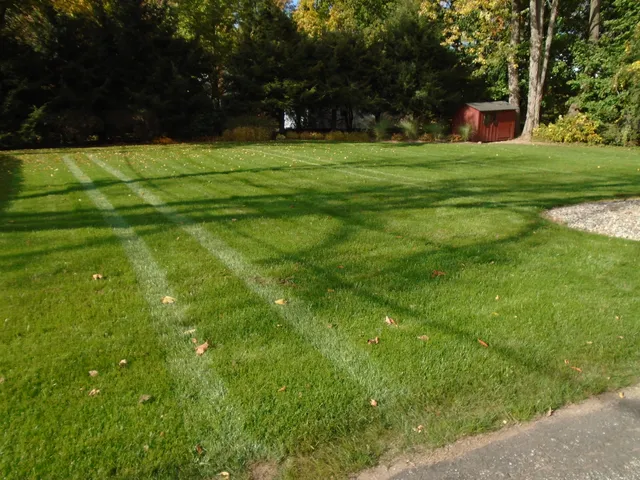 Natural Choice Lawn & Tree Care work photo