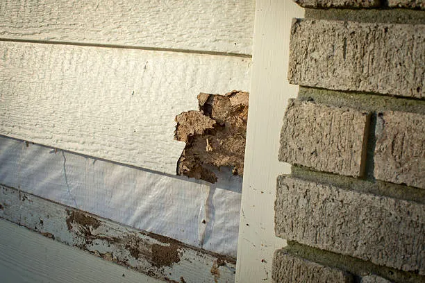Siding repair — section replaced and matched