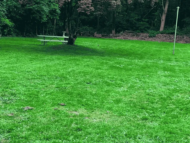 work photo from landscaping-green.com