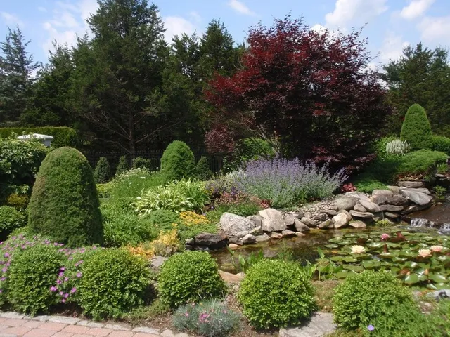 JB Tree and Landscape work photo