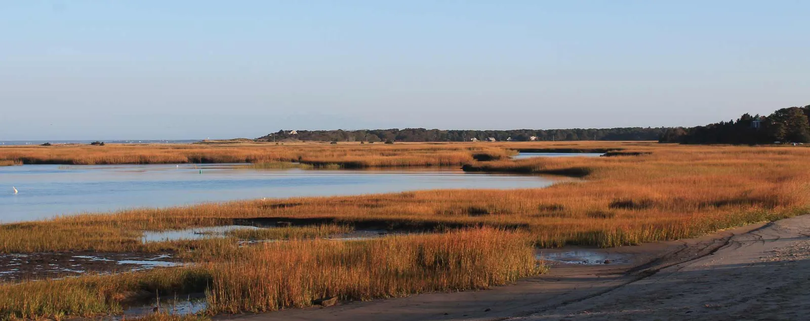work photo from hoppercapecod.com