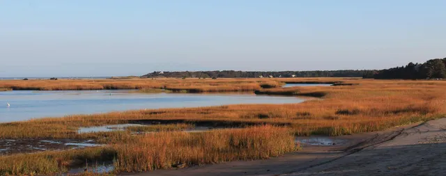 work photo from hoppercapecod.com