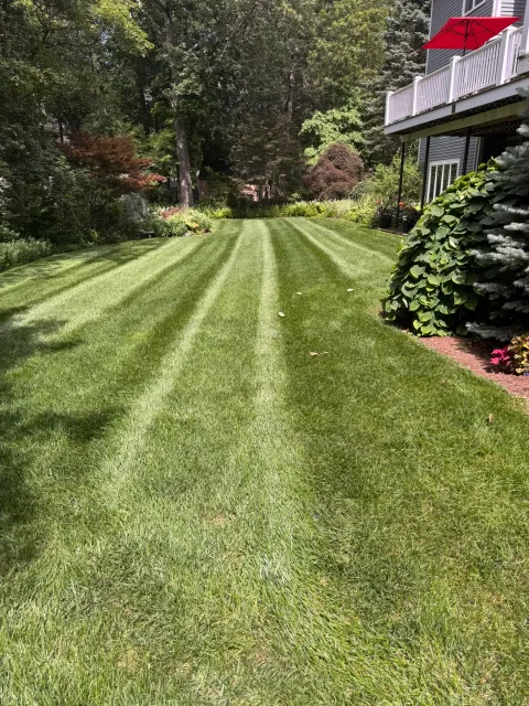 A freshly striped, edged lawn on a maintained residential property in Lexington, MA
