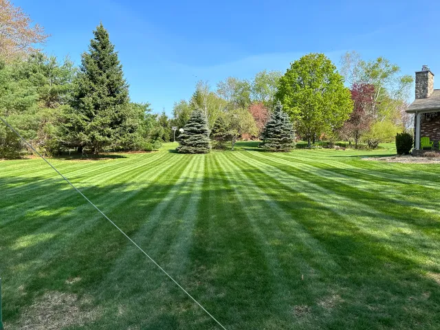 Sunny lawn with striped grass, trees, and a house under a clear blue sky