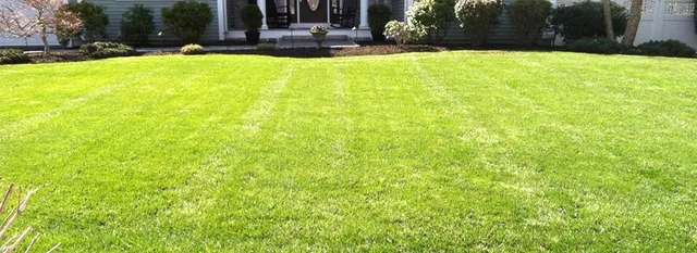 Bowers Landscape Co. work photo
