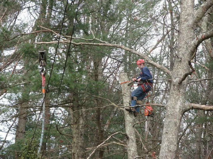 work photo from newcombstree.com
