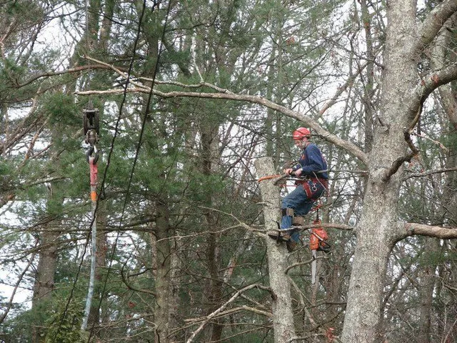 work photo from newcombstree.com