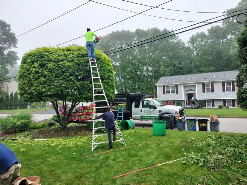 Landscaping