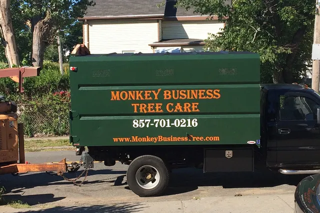 Monkey Business Tree Care, LLC work photo