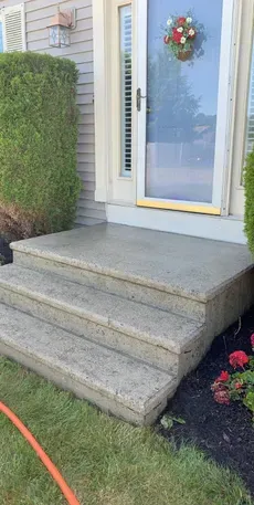 Front porch with three concrete steps leading to a white door, bordered by hedges and flower beds.