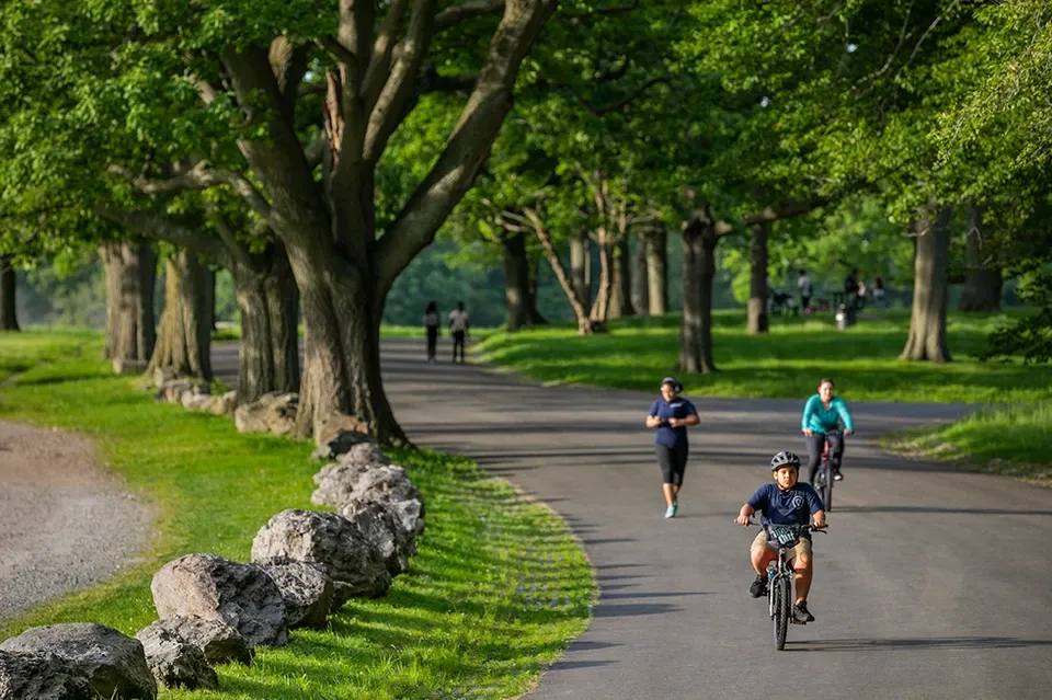 People riding bikes on the path at Franklin Park