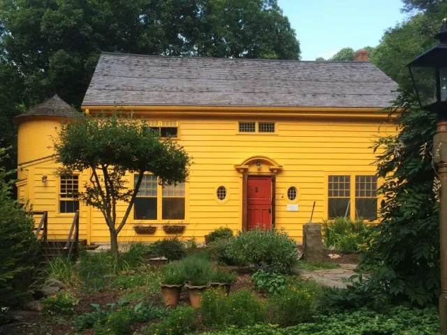 yellow4.jpg