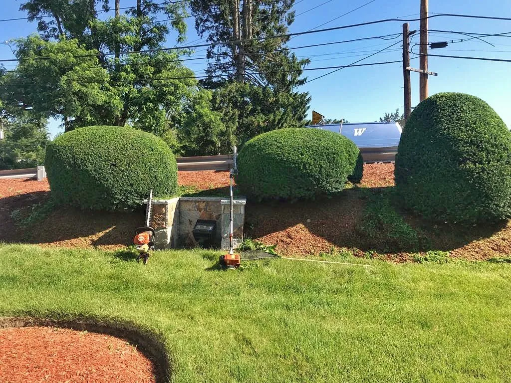 work photo from greenlandscapema.com