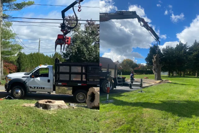 JDH trucks and cranes remove trees