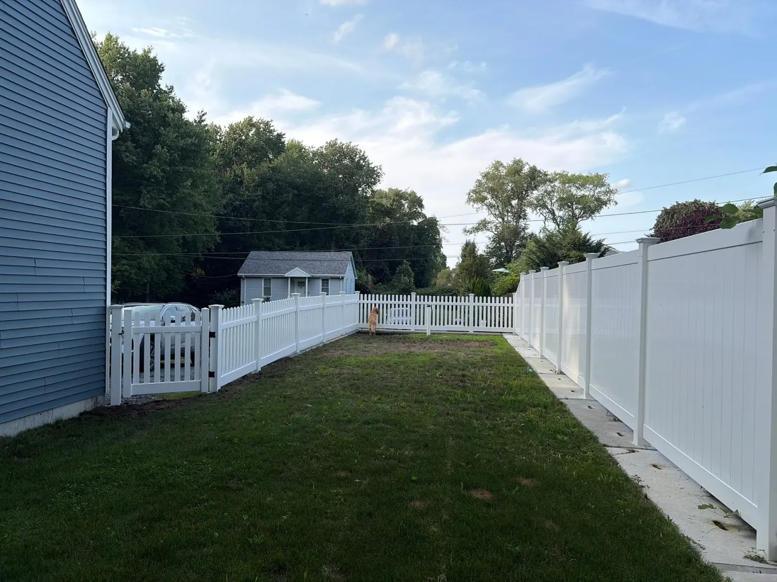 Backyard with green lawn, white fences, and a small shed beside a blue house.