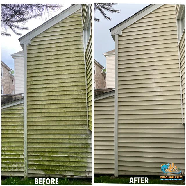WHALING CITY PRESSURE WASHING work photo