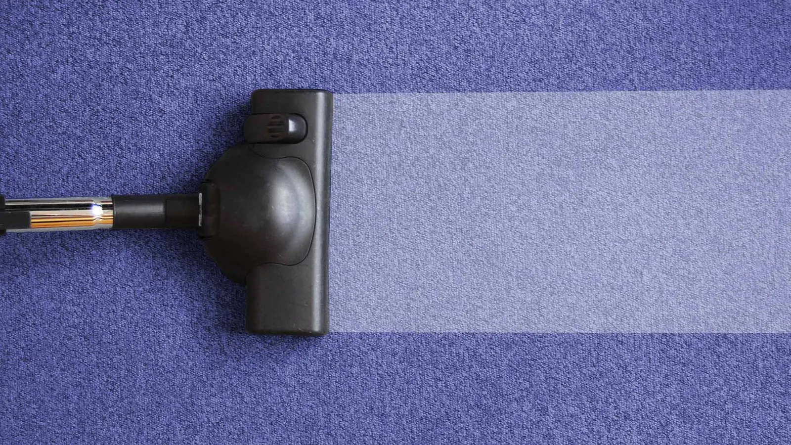 vacuuming purple carpet taunton ma