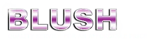Blush Cleaning Service LLC logo