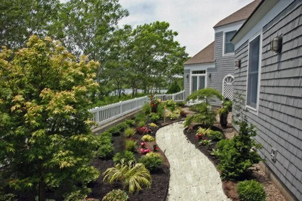 C P Murphy Tree Care work photo