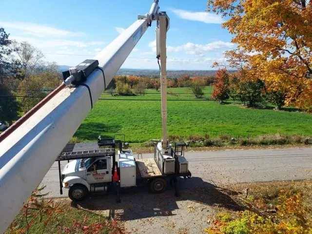 tree services 1