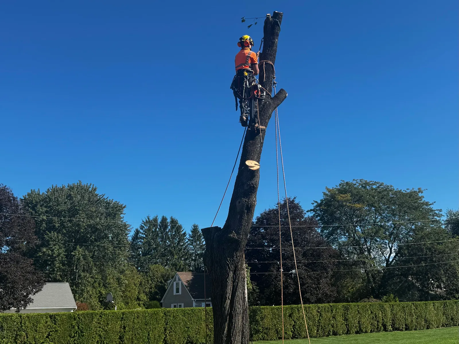 work photo from Google listing
