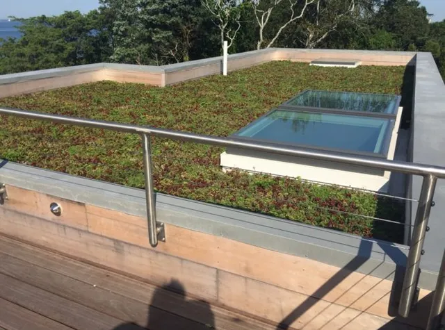 Eco-friendly green roof and glass window, featuring Live Vegetation Design & Care for Roof Gardens in MA.