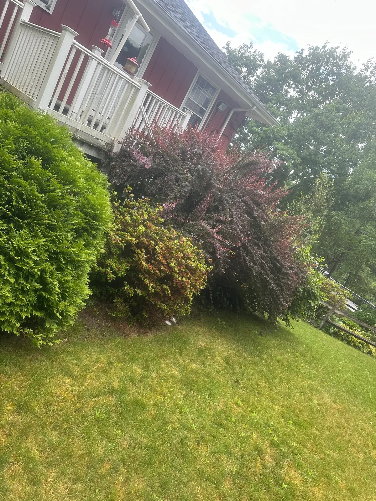 Eden’s Garden Landscaping Inc researched project photo