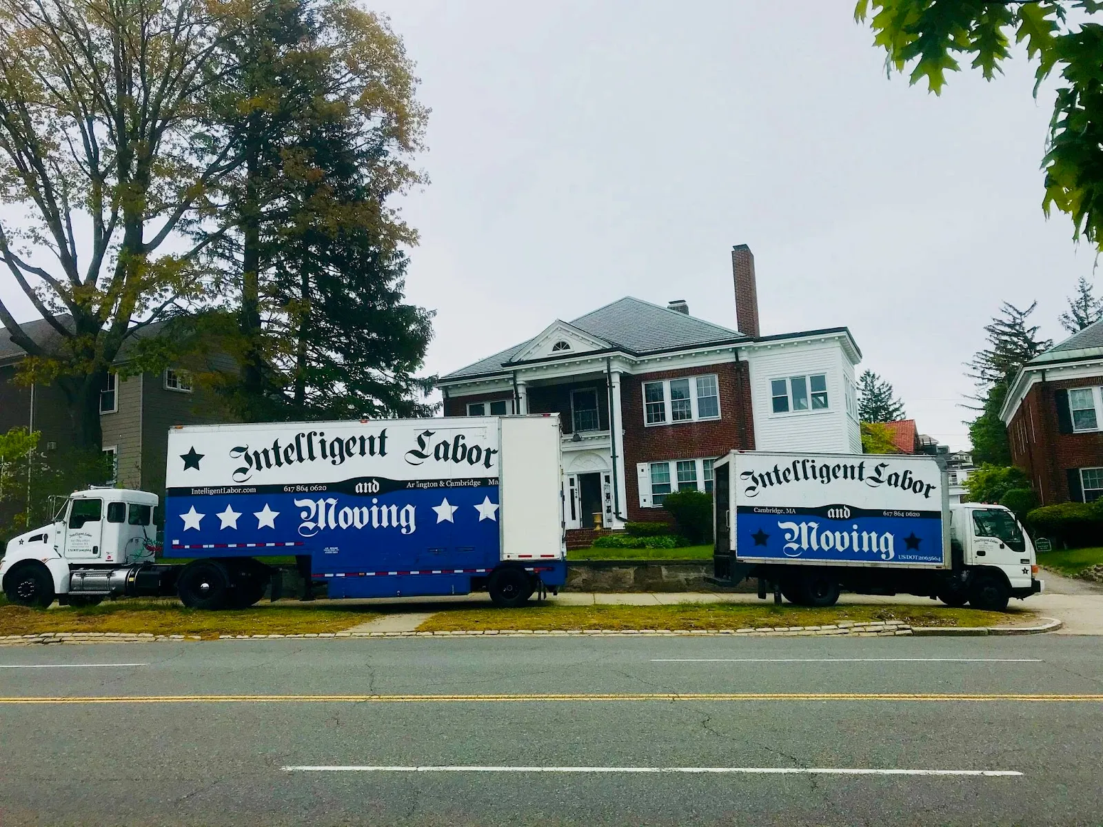 Intelligent Labor & Moving
