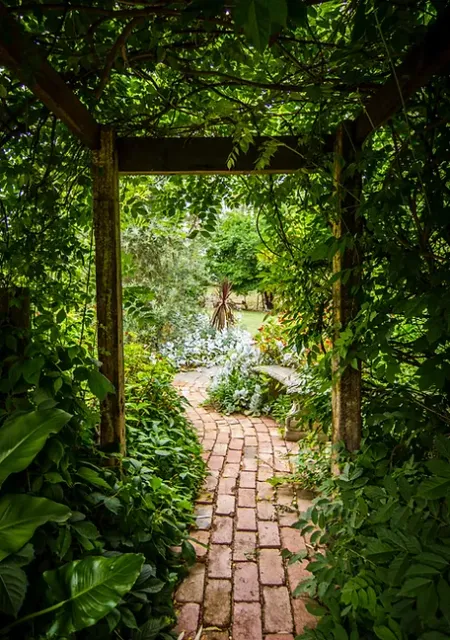 Image by Tim Cooper