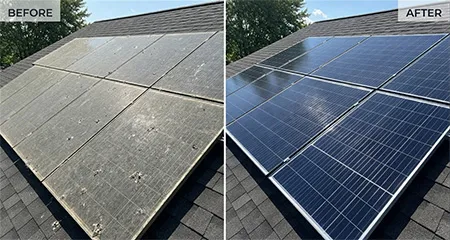 Solar Panel Cleaning