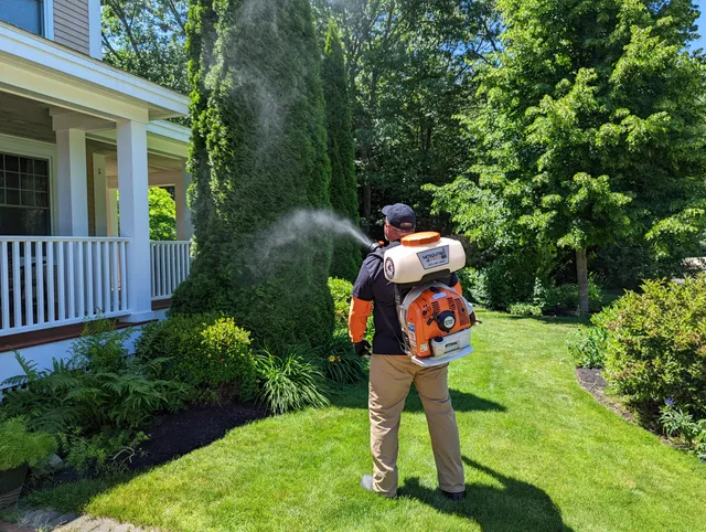 Mosquito Pro's NH work photo