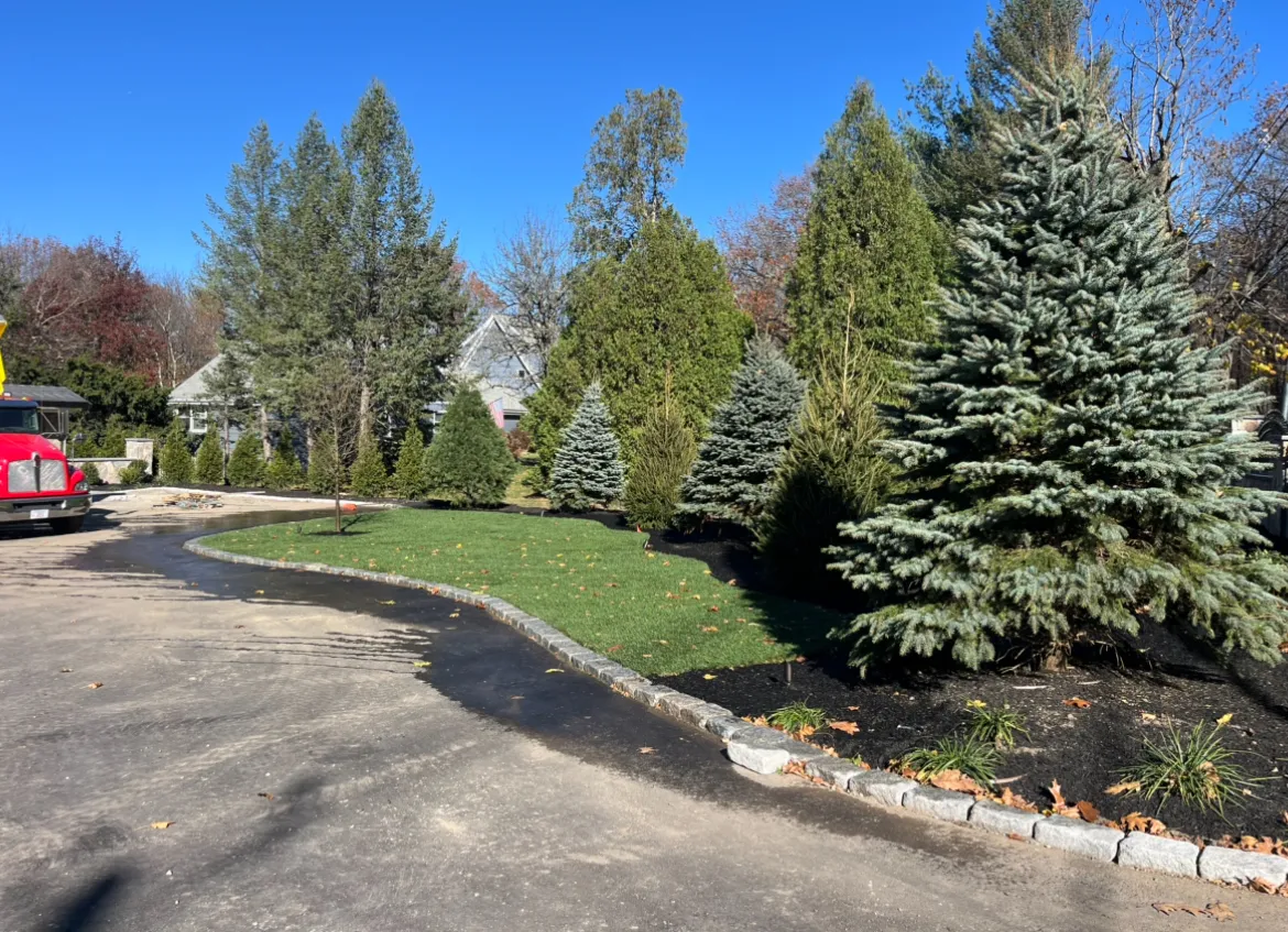 Towne Tree & Landscaping