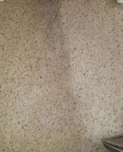 work photo from mitchellbrotherscleaning.com