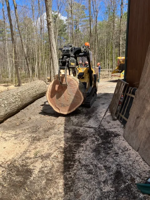 A person operating a small wood-cutting machine outdoors, cutting a large log on a forested property with leafless trees and a clear blue sky.