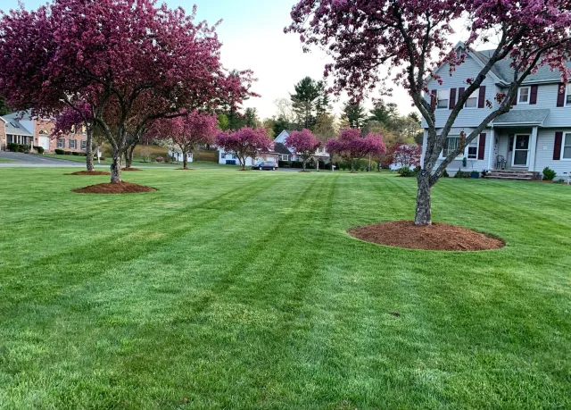 Lawn Duty Landscape work photo