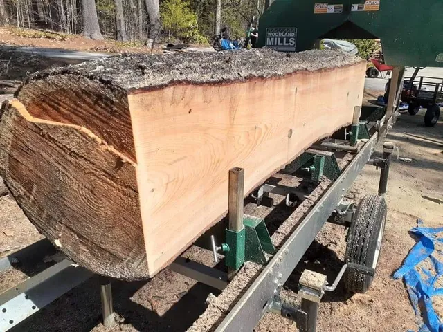 work photo from justjayntreeservicenh.com