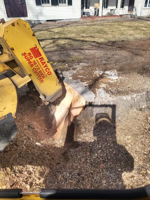 TMBR Stump Grinding LLC work photo