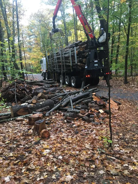 Lepage Tree and Firewood LLC work photo