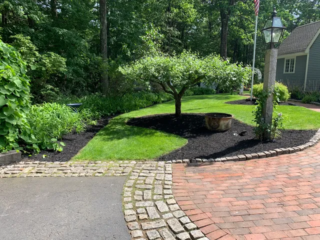Saving Thyme Landscaping and Design work photo