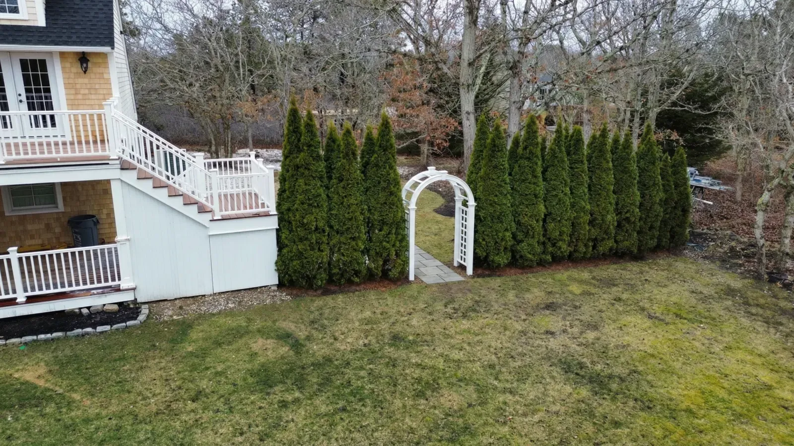 Living green privacy screen along the fence line