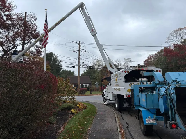 work photo from treeservicekingston.net