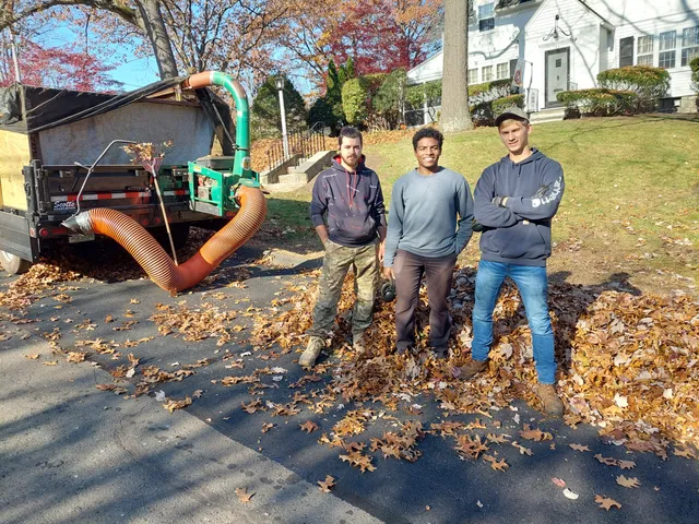 Bristol Snow and Landscaping Services work photo