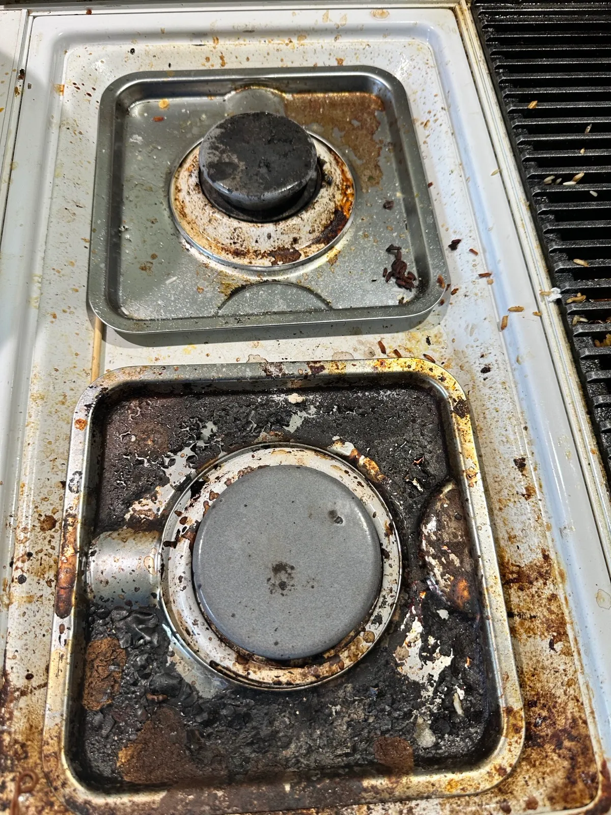 SC Cleaning Services