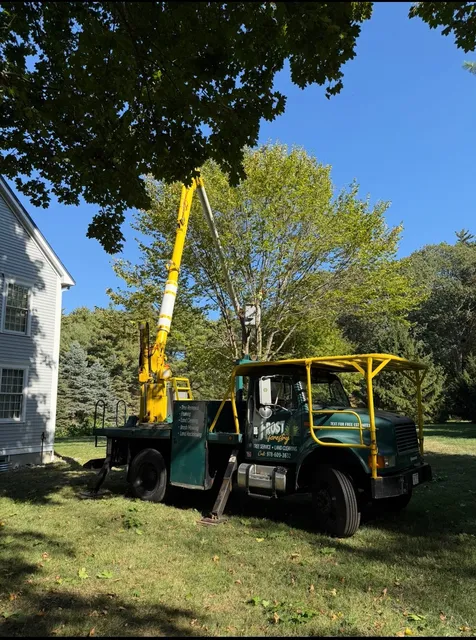 Frost Forestry Tree Service & Land Clearing work photo