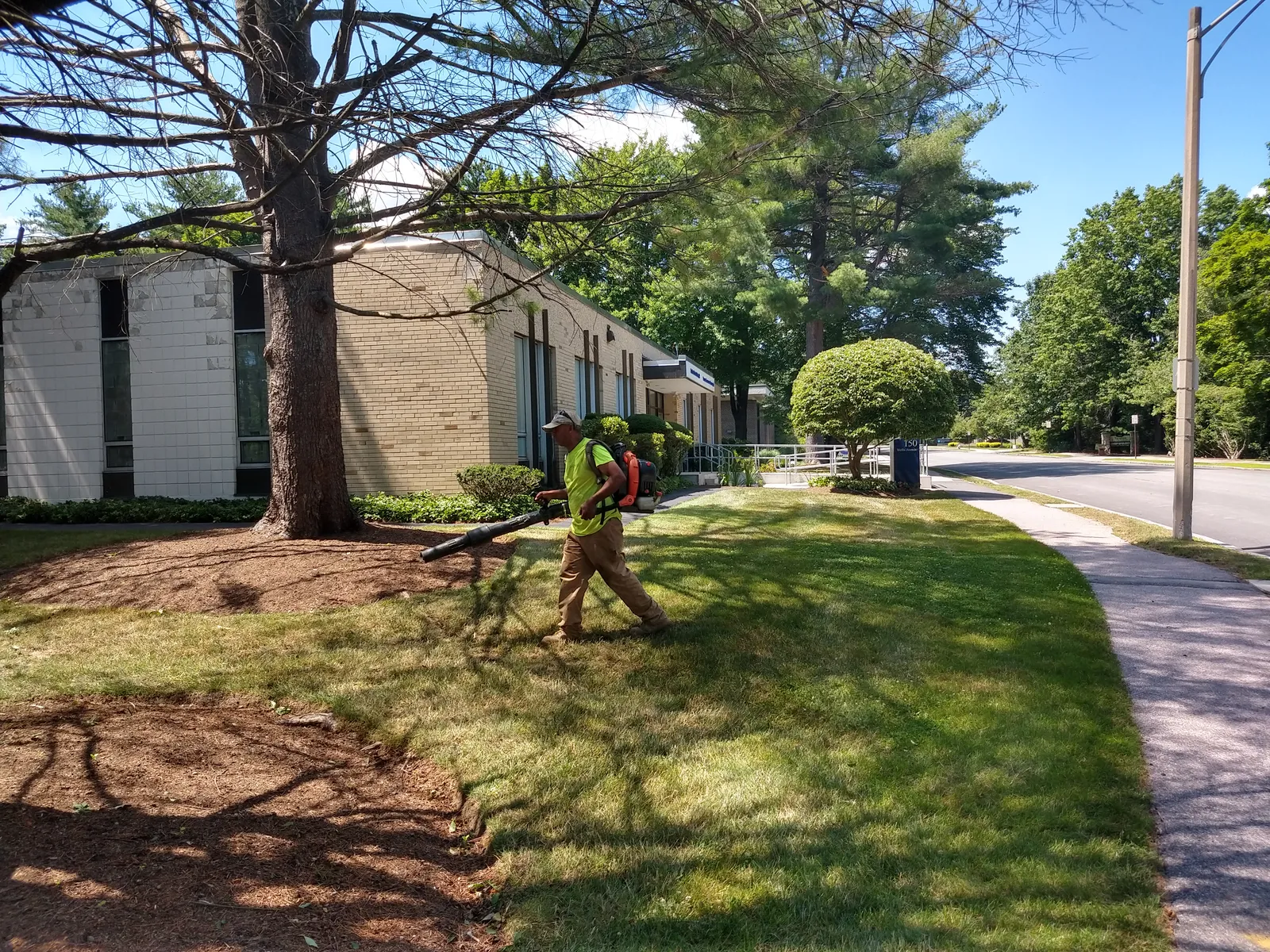 work photo from Google listing