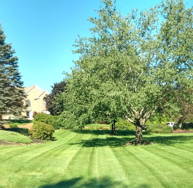 SC Outdoor Services, LLC work photo