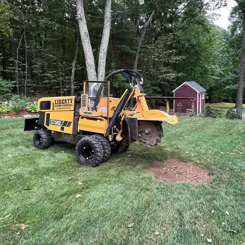 work photo from libertystumpgrinding.com