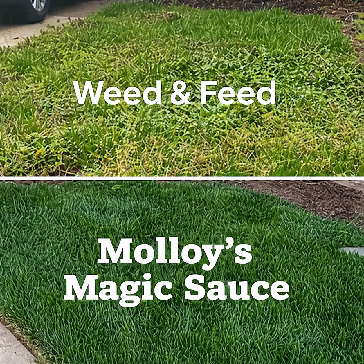 Molloy Lawn & Landscape