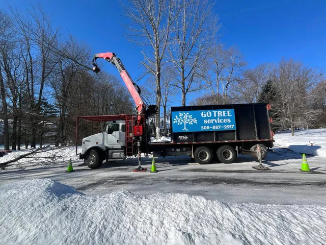Go Tree Services work photo