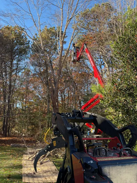 work photo from ladnertree.com